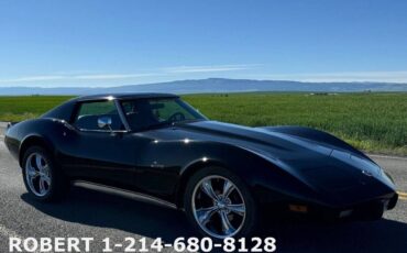 Chevrolet-Corvette-1976-Coupe-21