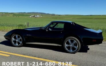 Chevrolet-Corvette-1976-Coupe-3