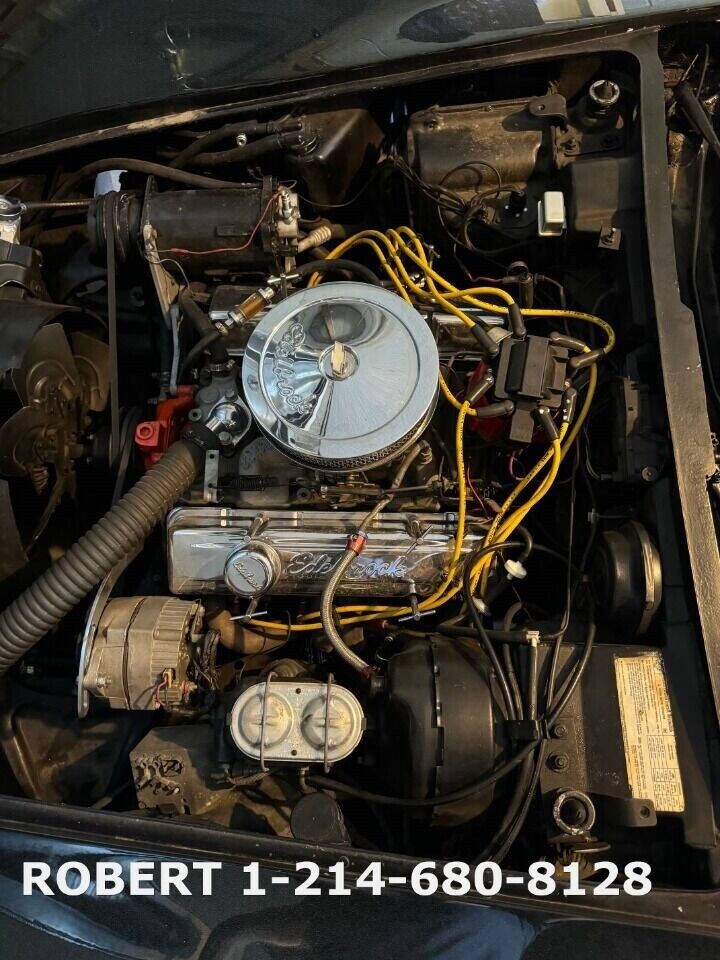 Chevrolet-Corvette-1976-Coupe-9