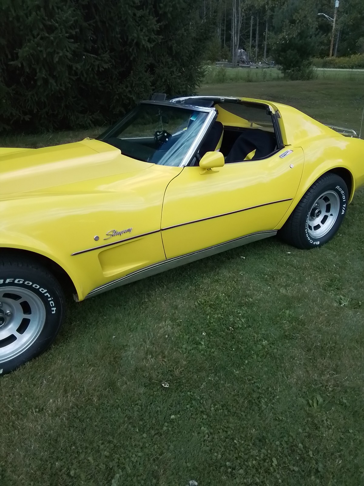 Chevrolet Corvette 1976 Coupe