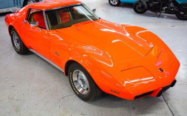 Chevrolet-Corvette-1976-Other-1