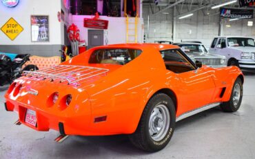 Chevrolet-Corvette-1976-Other-10
