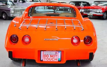 Chevrolet-Corvette-1976-Other-13