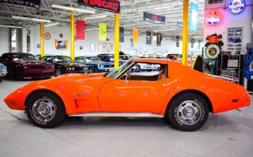 Chevrolet-Corvette-1976-Other-19