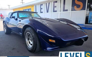 Chevrolet-Corvette-1978-16