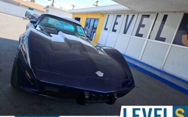 Chevrolet-Corvette-1978-17