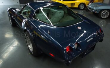 Chevrolet-Corvette-1978-Coupe-8