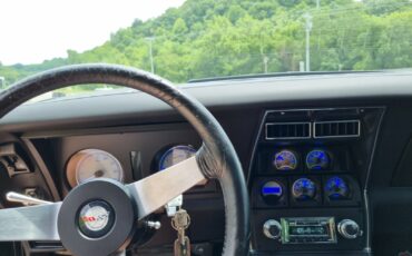 Chevrolet-Corvette-1978-T-TOP-25
