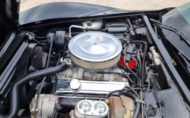 Chevrolet-Corvette-1978-T-TOP-27