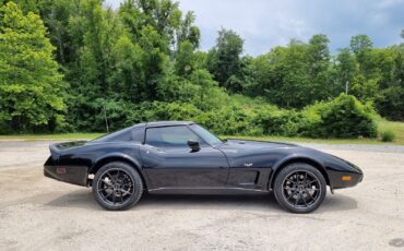 Chevrolet-Corvette-1978-T-TOP-6