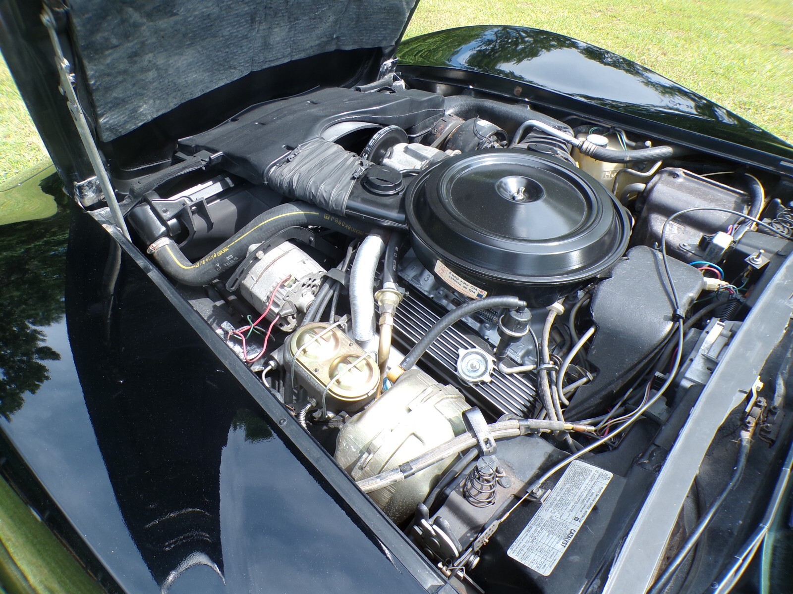 Chevrolet-Corvette-1979-Coupe-10