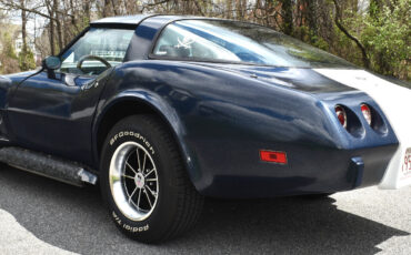 Chevrolet-Corvette-1979-Coupe-11