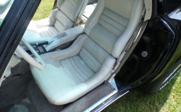 Chevrolet-Corvette-1979-Coupe-11