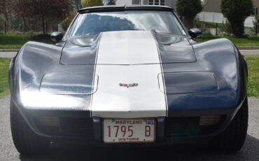 Chevrolet-Corvette-1979-Coupe-12