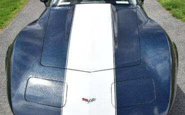 Chevrolet-Corvette-1979-Coupe-13