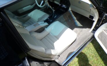 Chevrolet-Corvette-1979-Coupe-14