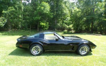 Chevrolet-Corvette-1979-Coupe-2