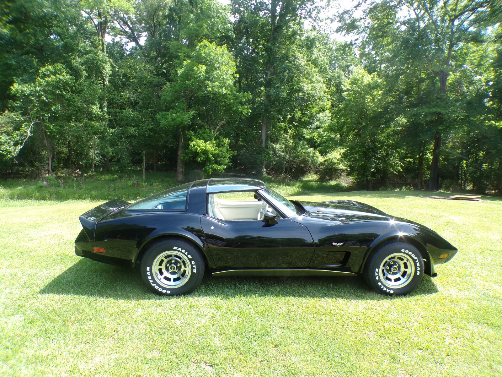 Chevrolet-Corvette-1979-Coupe-2