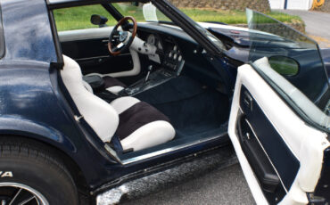 Chevrolet-Corvette-1979-Coupe-23