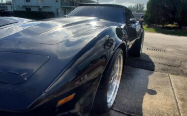 Chevrolet-Corvette-1979-Coupe-4