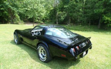 Chevrolet-Corvette-1979-Coupe-5