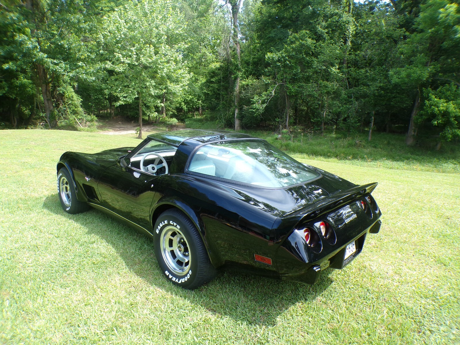 Chevrolet-Corvette-1979-Coupe-5