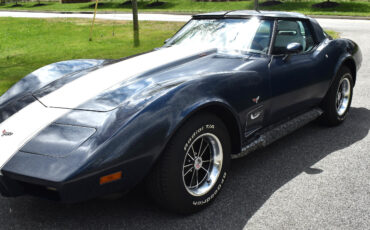 Chevrolet-Corvette-1979-Coupe-8