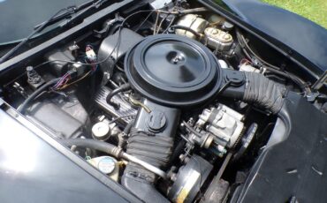 Chevrolet-Corvette-1979-Coupe-8