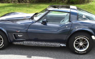 Chevrolet-Corvette-1979-Coupe-9