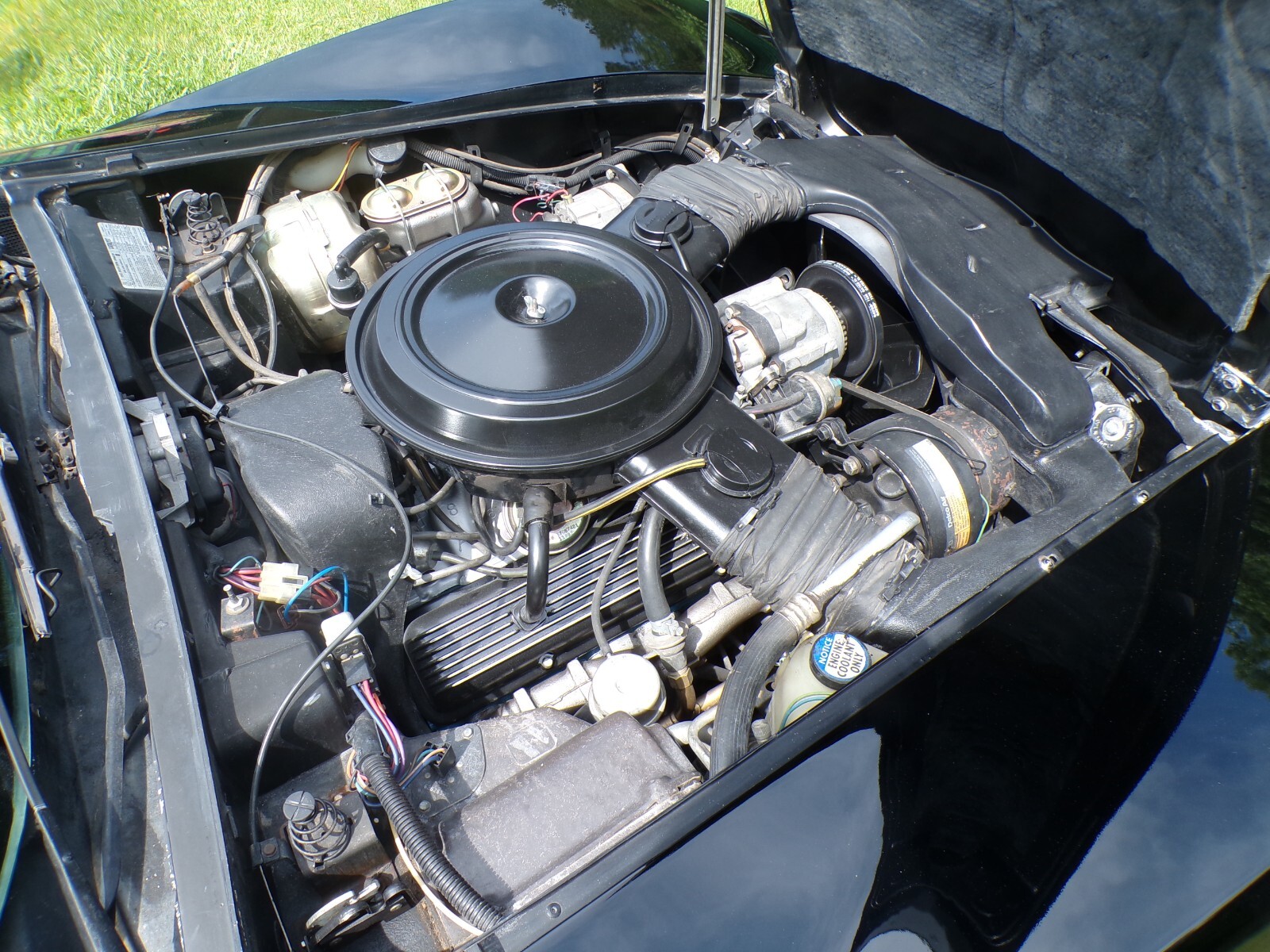 Chevrolet-Corvette-1979-Coupe-9