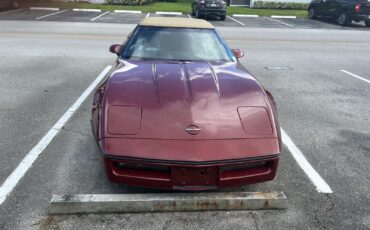 Chevrolet-Corvette-1980-1
