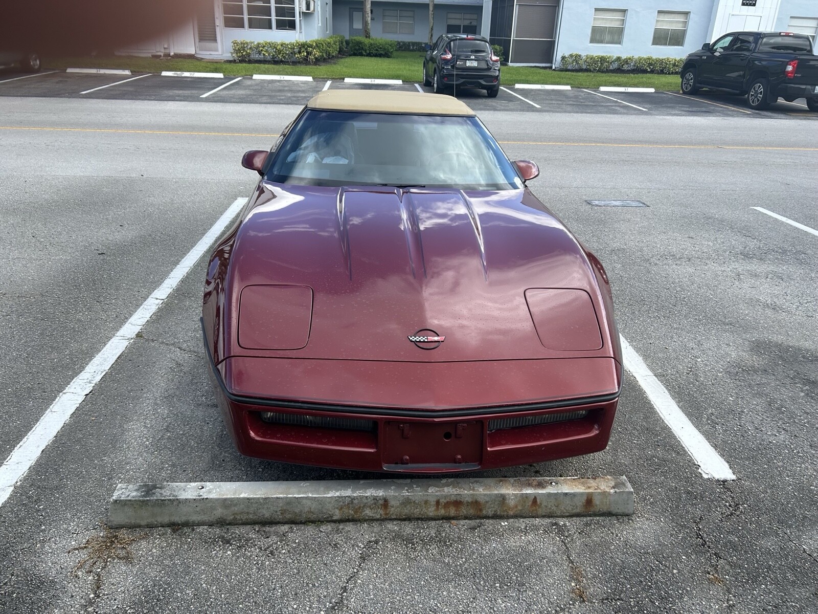 Chevrolet-Corvette-1980-1
