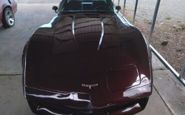Chevrolet-Corvette-1980-Coupe-4