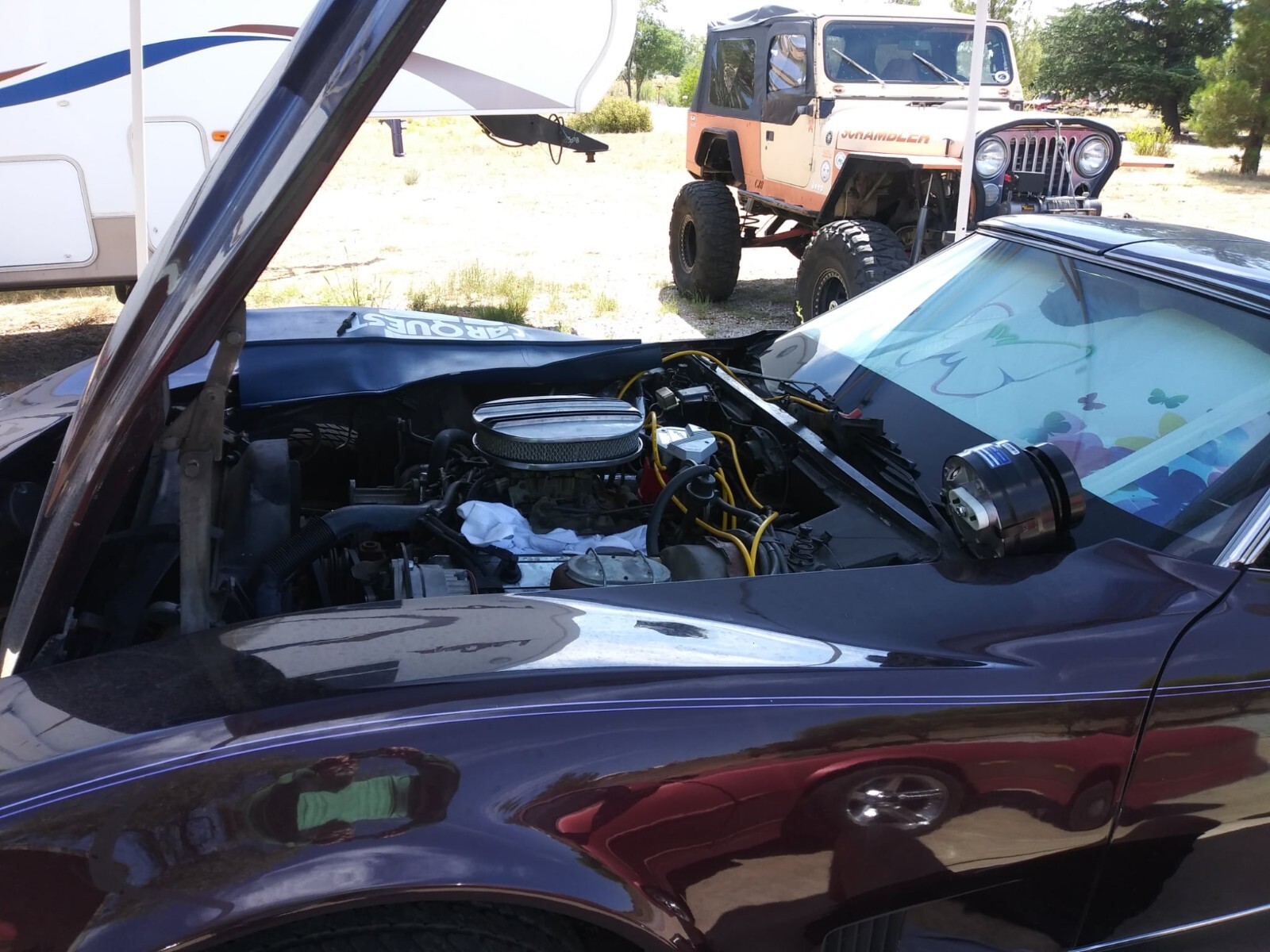 Chevrolet-Corvette-1980-Coupe-5