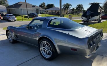 Chevrolet-Corvette-1981-Coupe-11