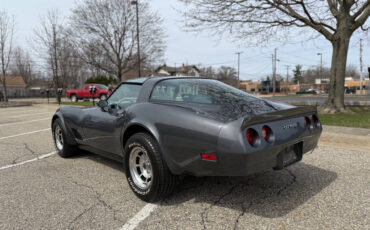 Chevrolet-Corvette-1981-Coupe-11