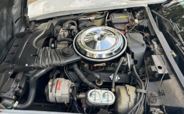 Chevrolet-Corvette-1981-Coupe-11