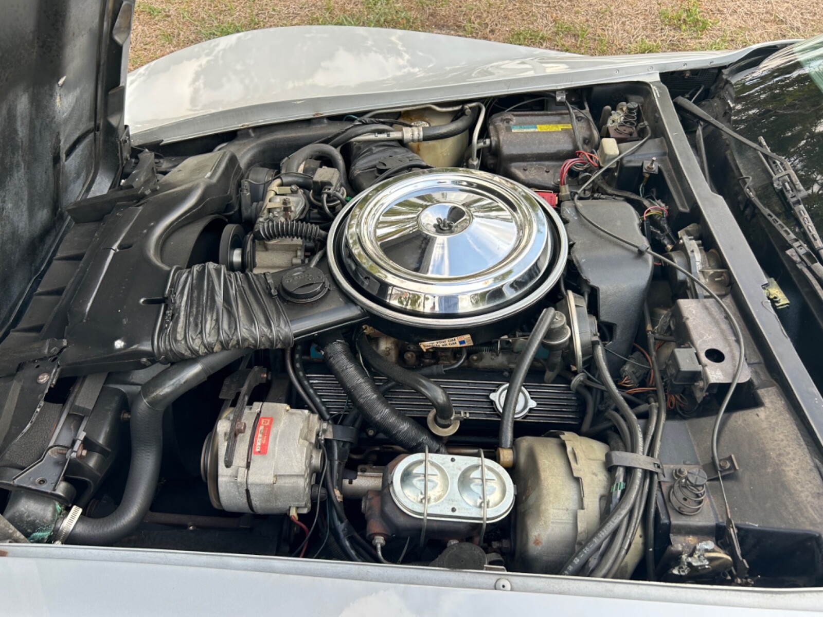 Chevrolet-Corvette-1981-Coupe-11