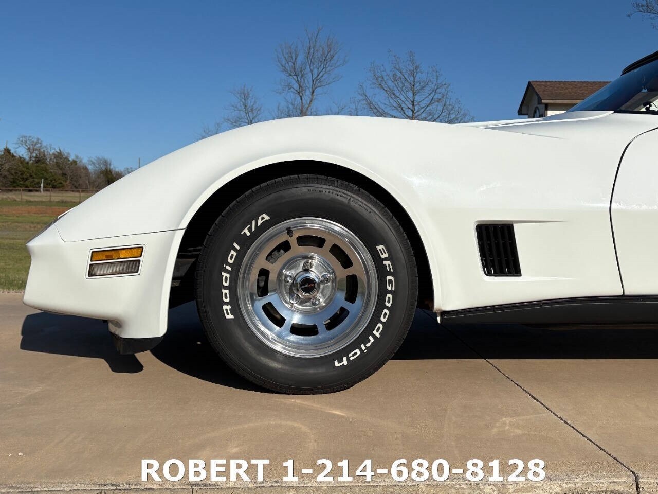 Chevrolet-Corvette-1981-Coupe-12
