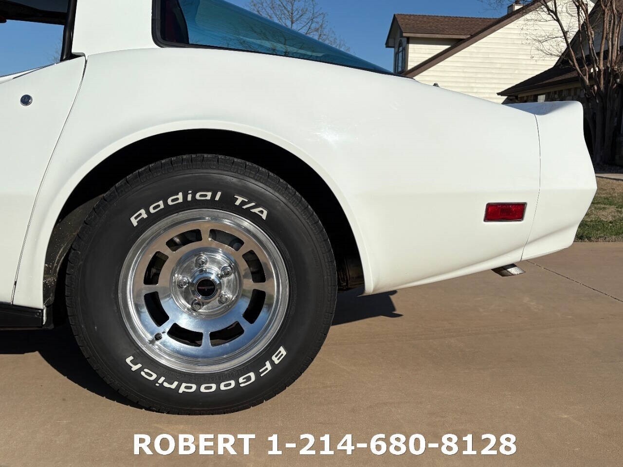 Chevrolet-Corvette-1981-Coupe-14