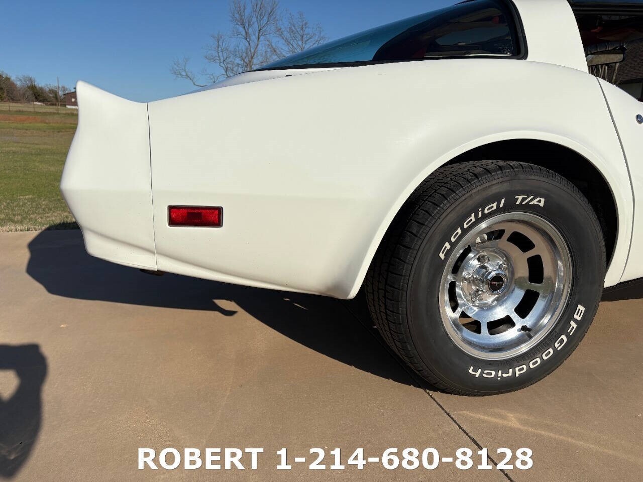 Chevrolet-Corvette-1981-Coupe-15