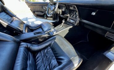 Chevrolet-Corvette-1981-Coupe-17