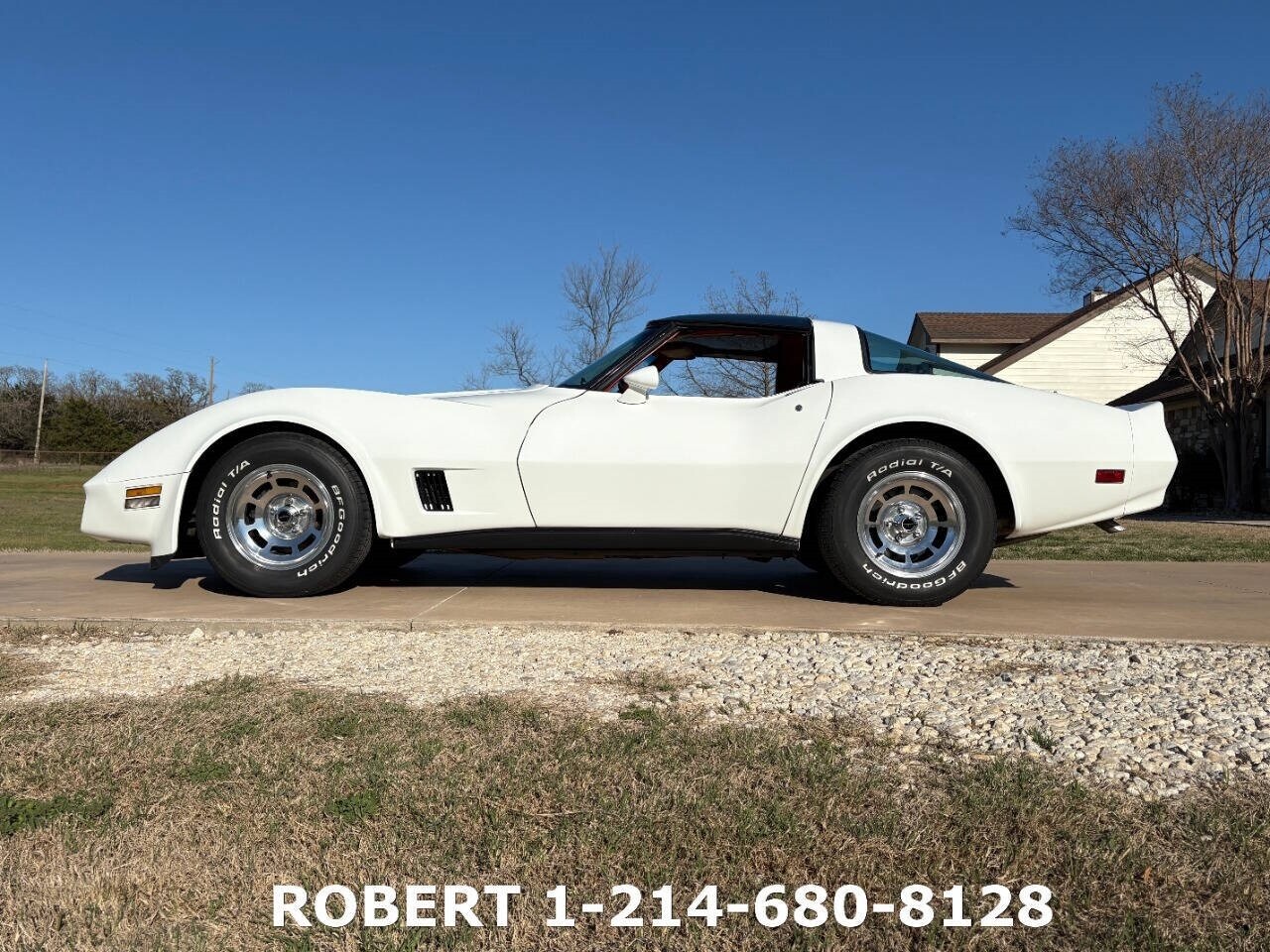 Chevrolet-Corvette-1981-Coupe-18