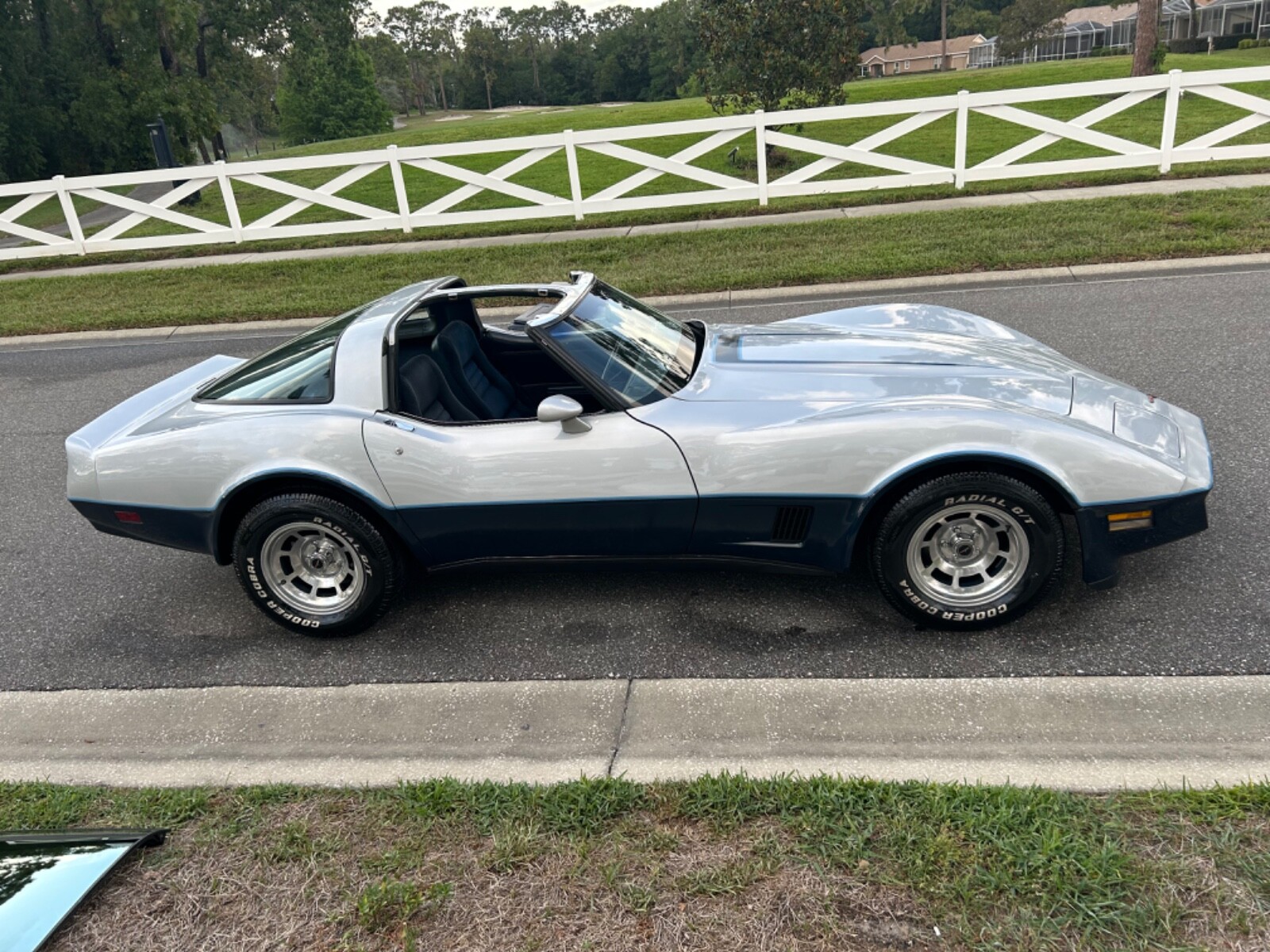 Chevrolet-Corvette-1981-Coupe-2