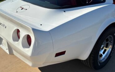 Chevrolet-Corvette-1981-Coupe-23