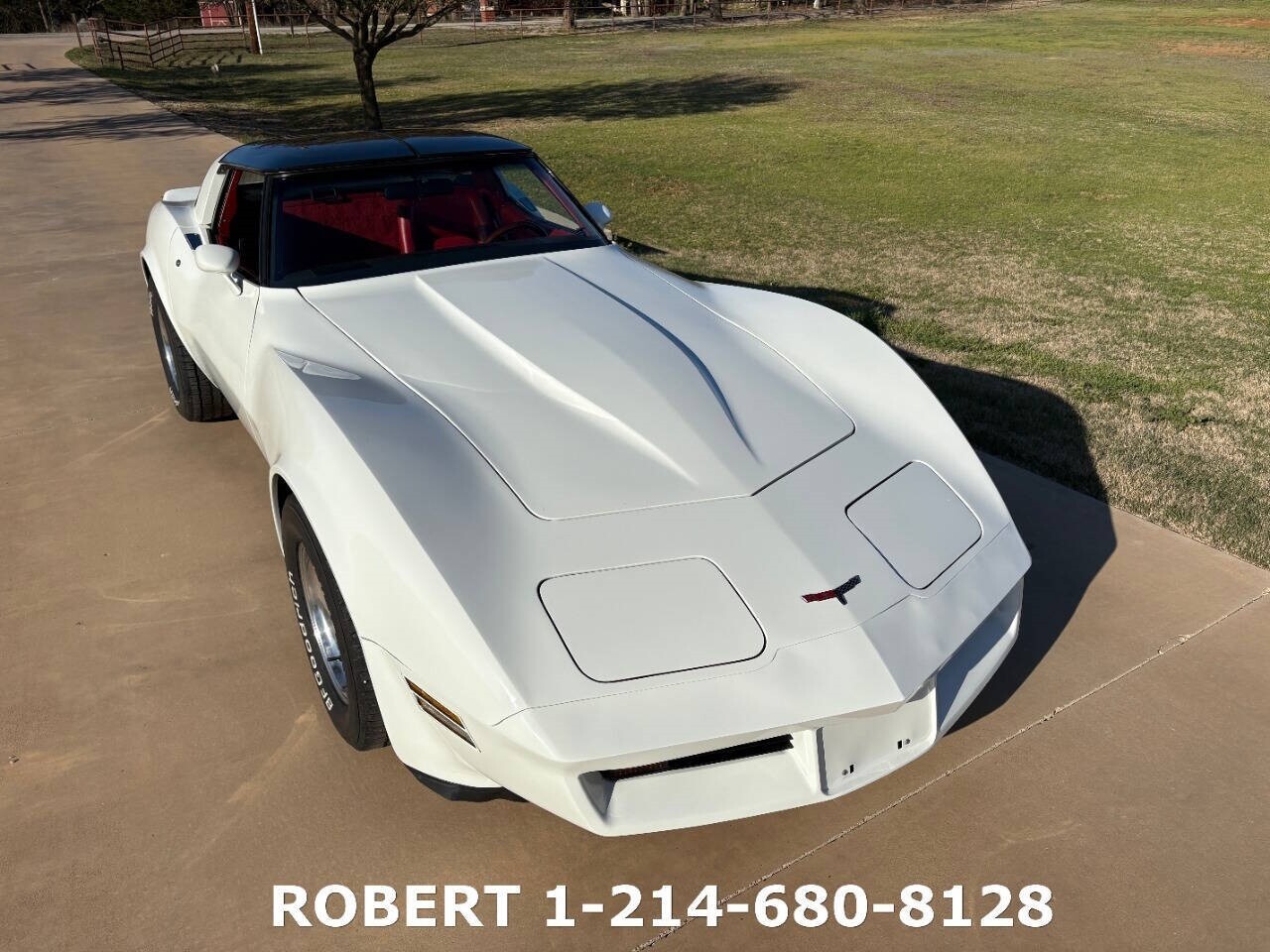Chevrolet-Corvette-1981-Coupe-28