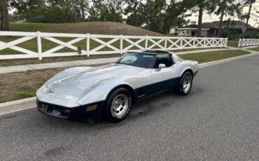 Chevrolet-Corvette-1981-Coupe-29