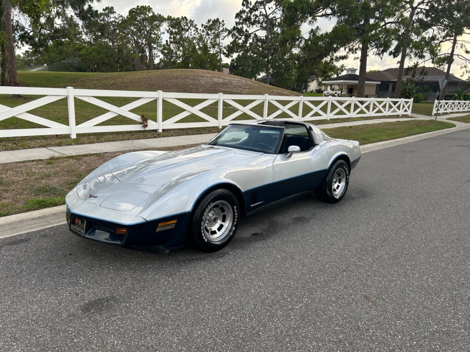Chevrolet-Corvette-1981-Coupe-29