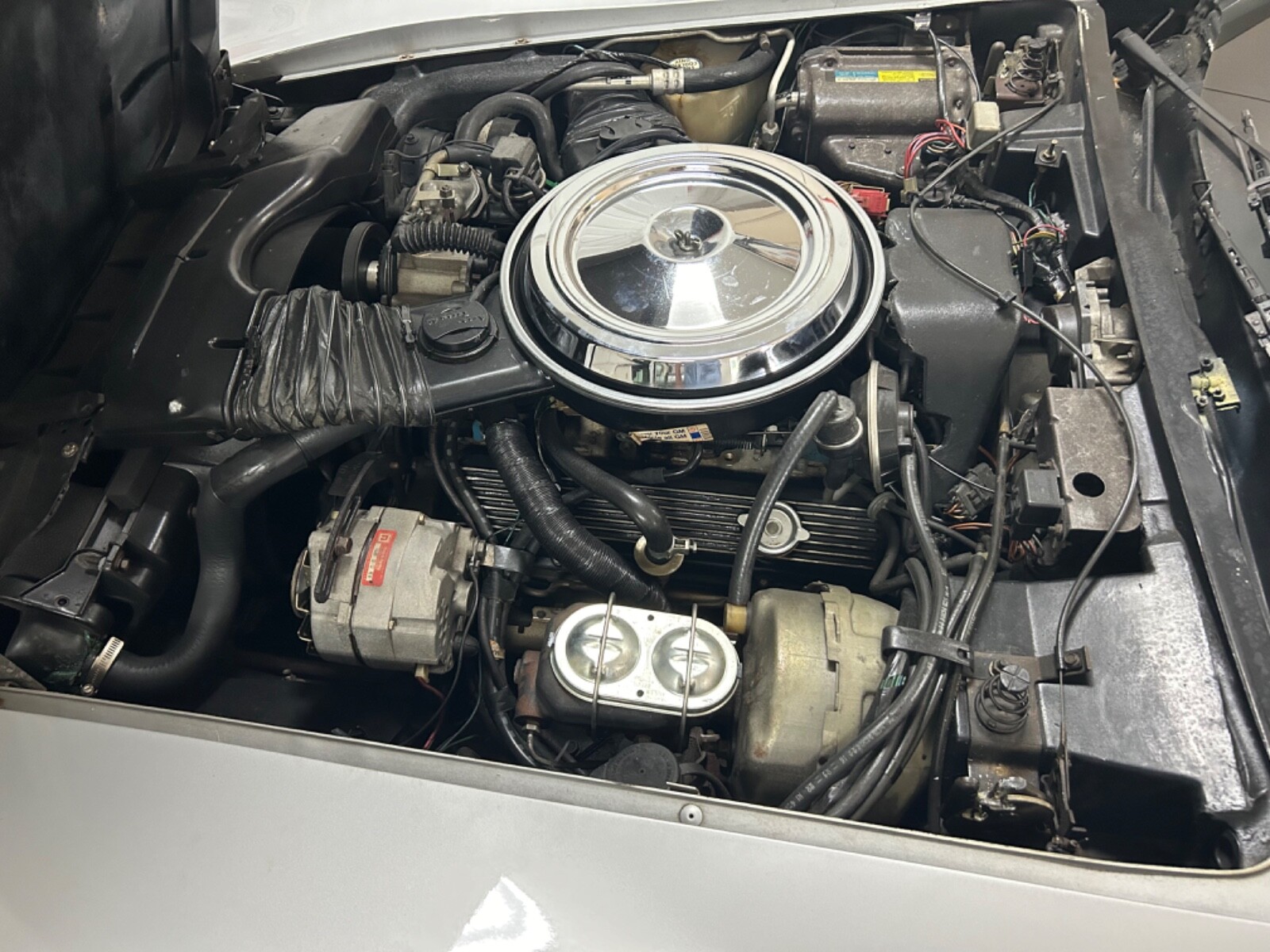 Chevrolet-Corvette-1981-Coupe-31
