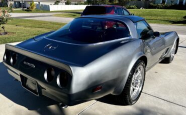 Chevrolet-Corvette-1981-Coupe-4